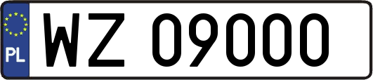 WZ09000