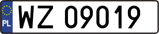 WZ09019