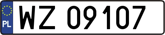 WZ09107