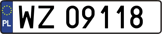 WZ09118
