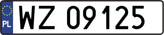 WZ09125