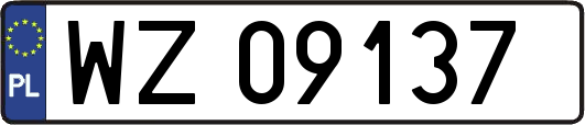 WZ09137
