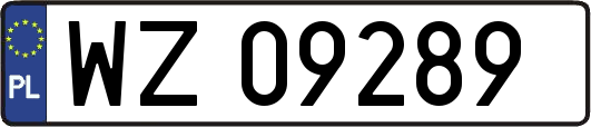 WZ09289