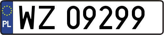 WZ09299