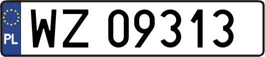 WZ09313