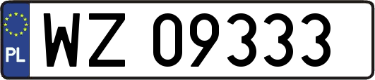 WZ09333