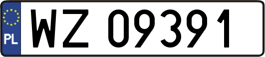 WZ09391