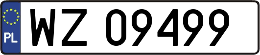WZ09499