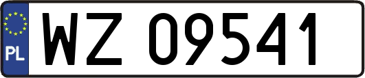 WZ09541