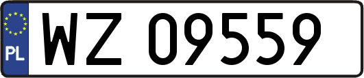WZ09559