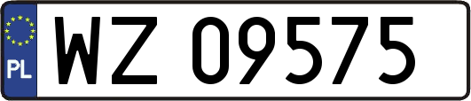 WZ09575
