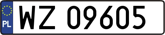 WZ09605