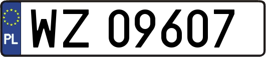 WZ09607