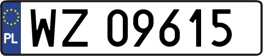 WZ09615