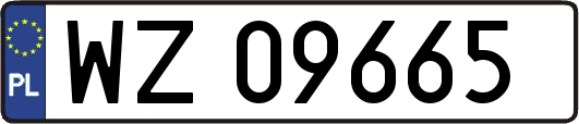 WZ09665