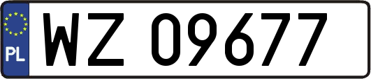 WZ09677