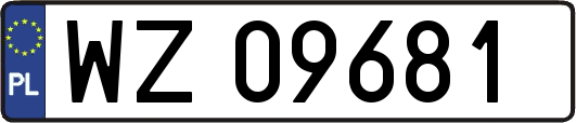 WZ09681