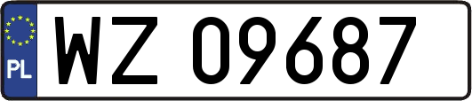 WZ09687