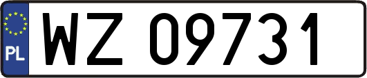 WZ09731