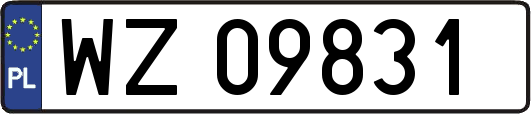WZ09831
