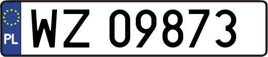 WZ09873