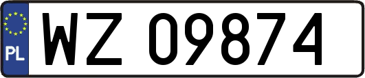 WZ09874