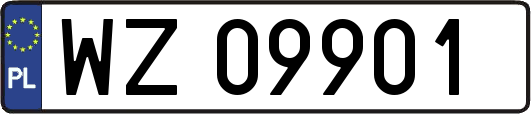 WZ09901