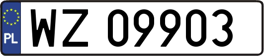 WZ09903