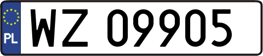 WZ09905