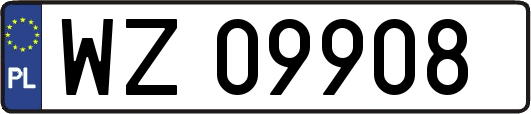 WZ09908