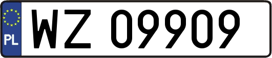 WZ09909
