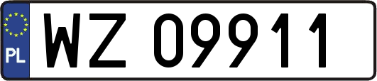 WZ09911