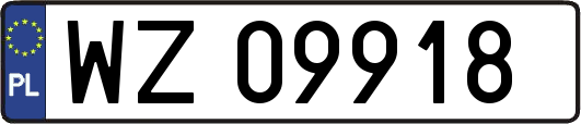 WZ09918