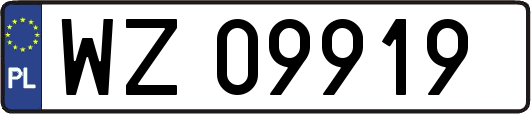 WZ09919