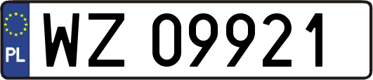 WZ09921