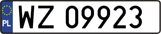 WZ09923