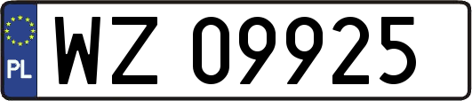 WZ09925