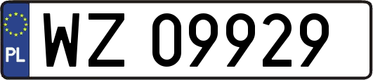 WZ09929