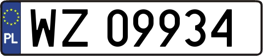 WZ09934