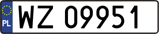 WZ09951