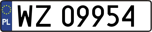 WZ09954
