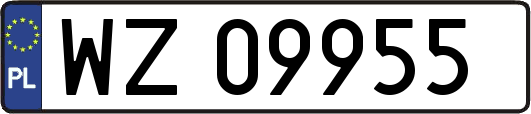 WZ09955