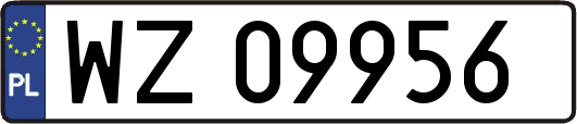 WZ09956