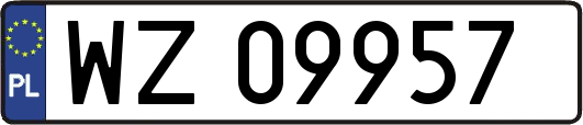 WZ09957