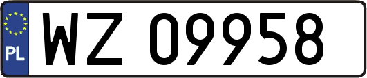 WZ09958