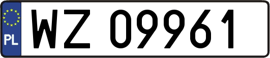 WZ09961