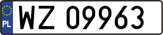 WZ09963