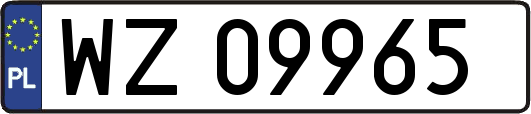 WZ09965