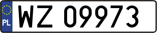 WZ09973