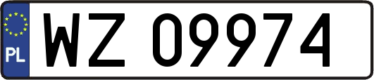 WZ09974